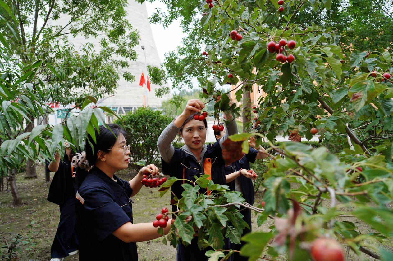 中国·77779193永利(集团)有限公司-官方网站